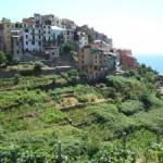 Corniglia: una terrazza sul mare
