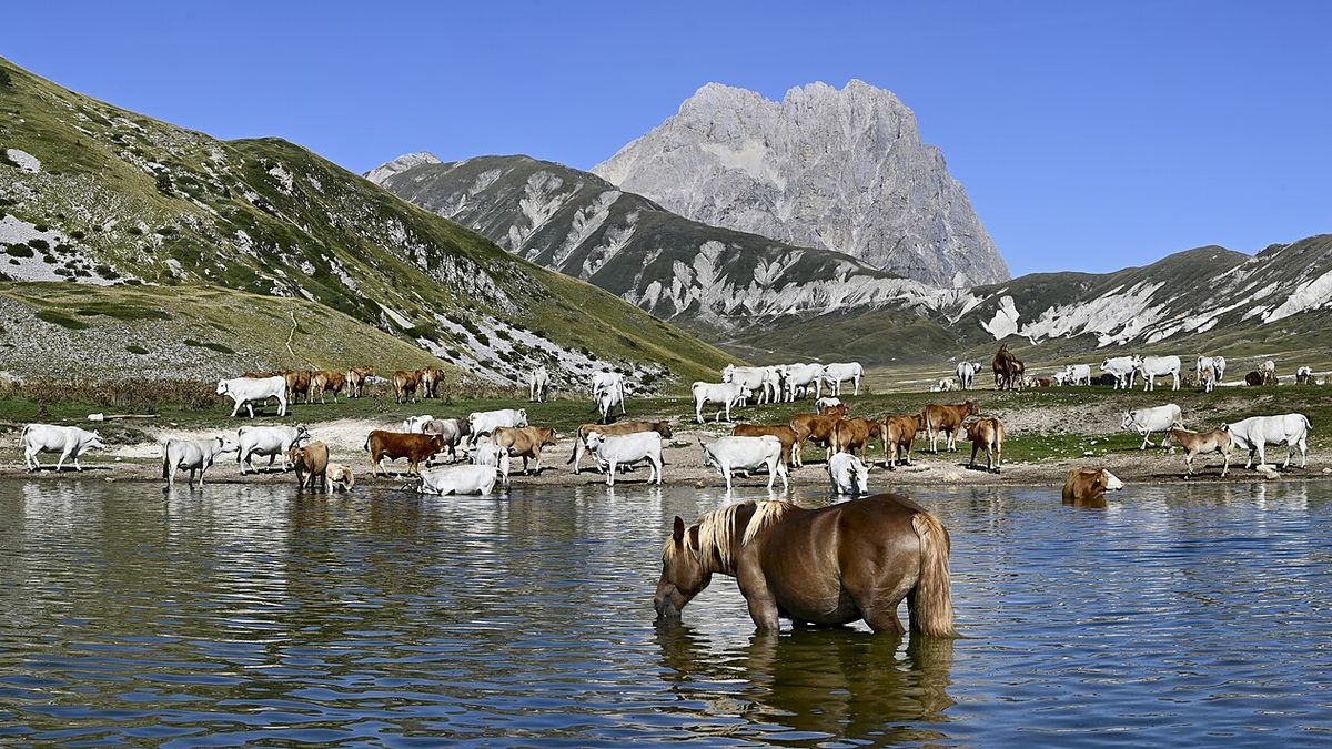 Dove sciare in Abruzzo? Scopri tutte le mete più importanti - Regioni Italiane