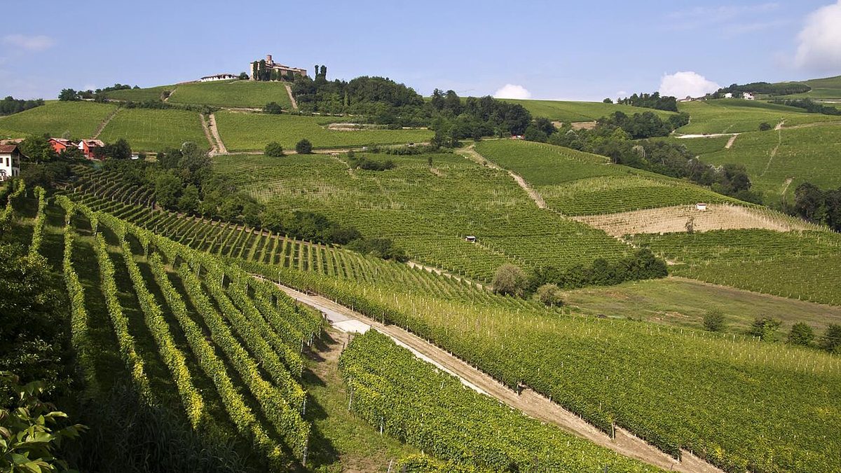 Itinerario nelle Langhe del Monferrato